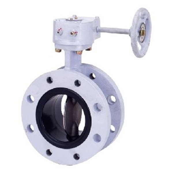 KITZ開滋閥門、日本進(jìn)口閥門G-16DJE-300A