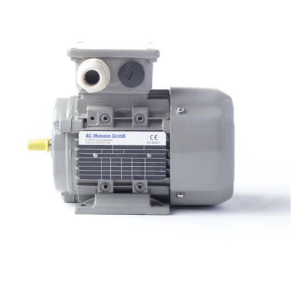 德國AC MOTOREN三相異步雙速電機(jī)AC07A2400005