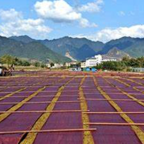 廣西華虹蠶絲股份有限公司.jpg 廣西華虹蠶絲股份有限公司.jpg